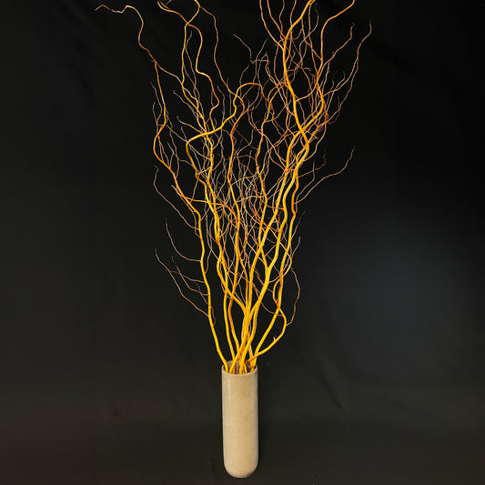 Striking golden-yellow branches of Dragon Willow, creating a dramatic visual display.